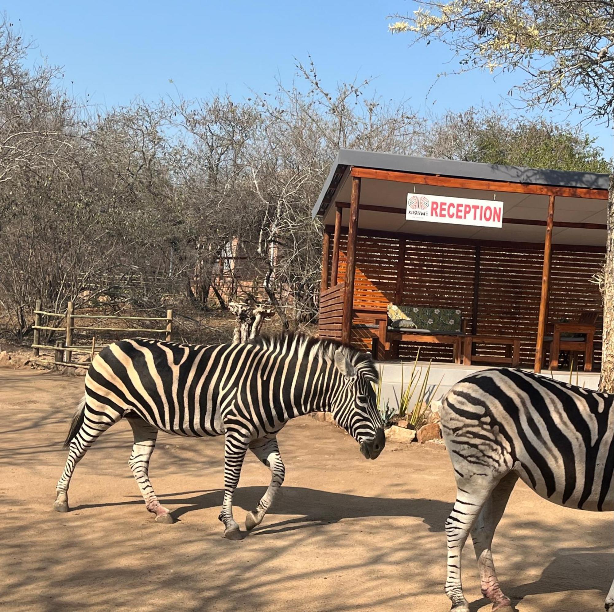 Kholiwe On Kruger Lodge & Safaris Марлот-Парк Экстерьер фото