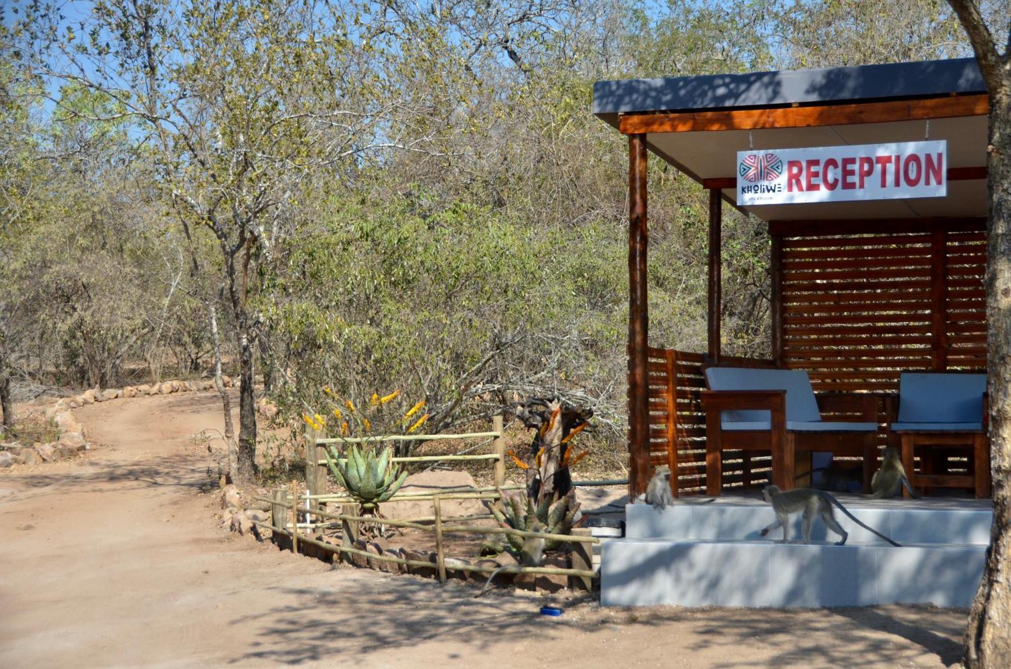 Kholiwe On Kruger Lodge & Safaris Марлот-Парк Экстерьер фото