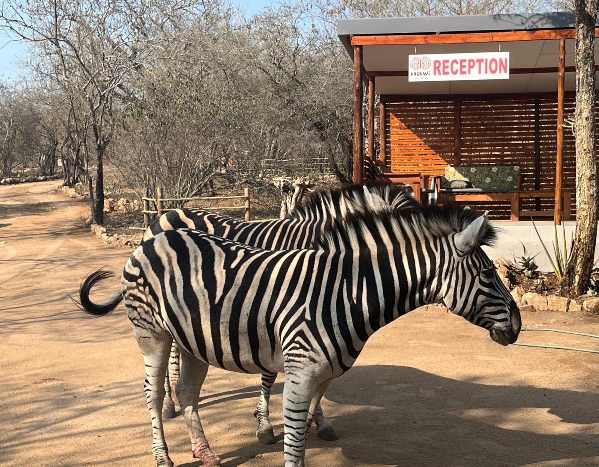 Kholiwe On Kruger Lodge & Safaris Марлот-Парк Экстерьер фото